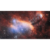 Renata Preradović s.p.