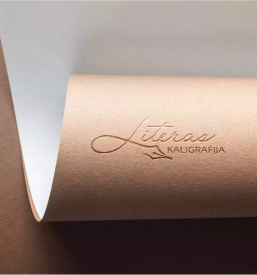 Kvalitetno oblikovanje logotipov vizitk letakov slovenija