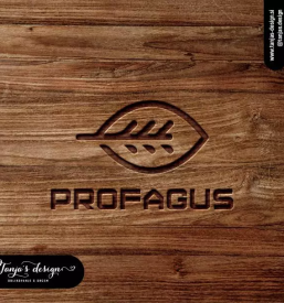 Kvalitetno oblikovanje logotipov vizitk letakov slovenija