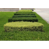 LARIX, VID DONOŠA S.P.