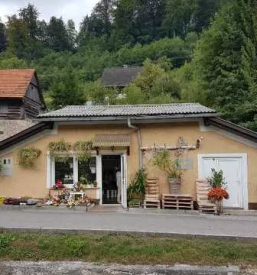 Najboljša cvetličarna Hrastnik