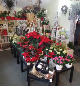 Vzdrževanje grobov Zasavje