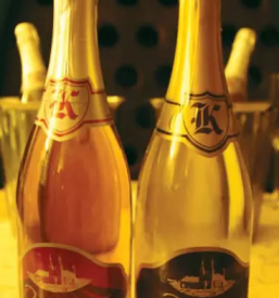 Najboljse drustvo vinogradnikov stajerska