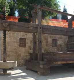 Najboljse drustvo vinogradnikov stajerska