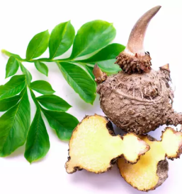 Prehransko svetovanje za zdravo zivljenje in hujsanje pomurje