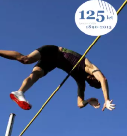Sportna zveza celje