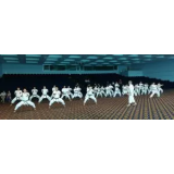 FUDOKAN ZVEZA KARATEJA SLOVENIJE