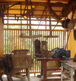 Turistično vodenje po vinogradih Haloze