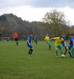 Dobro nogometno društvo Notranjsko-kraška