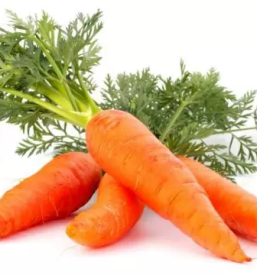 Zdrava trgovinica murska sobota