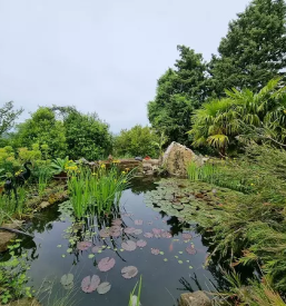 Apartma s pogledom na morje primorska