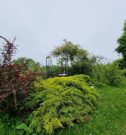 Apartma s pogledom na morje primorska