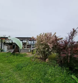 Apartma s pogledom na morje primorska