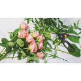 Cvetličarna Nataša, Nataša Skočaj Kodermac s.p.