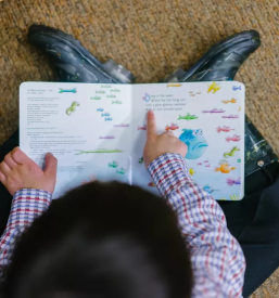 Cena montessori vrtca