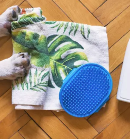 Dober salon za nego hisnih ljubljenckov ljubljana