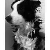 PUHEK, SAŠA POGAČAR S.P.