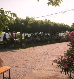 Dobra restavracija v piranu