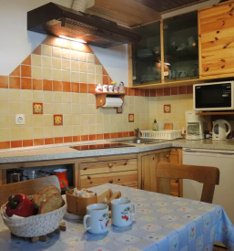 Druzinski apartma v naravi bohinjska bela