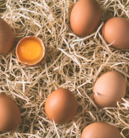 Ekoloska kmetija brhanovi