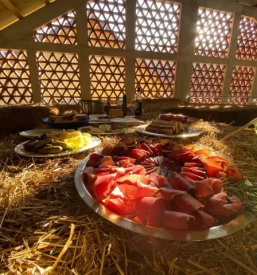 Ekoloska kmetija korenjak loce savinjska