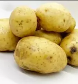 Ekoloska zelenjava primorska