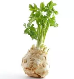 Ekoloska zelenjava primorska