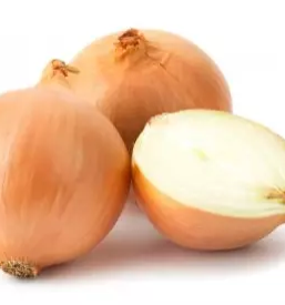 Ekoloska zelenjava primorska