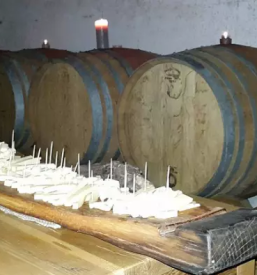 Proizvodnja in prodaja vina