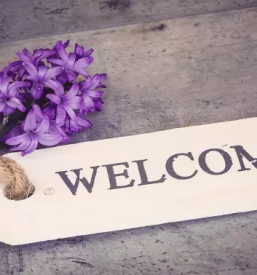 Ugodna oddaja sob in apartmajev piran