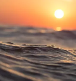 Ugodna oddaja sob in apartmajev piran