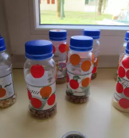 Vegetarijanski vrtec ljubljana siska