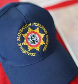 Zdruzenje slovenskih poklicnih gasilcev