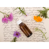 Kareč Iršič d.d.k.