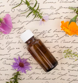 Zelišča iz Žičke kartuzije