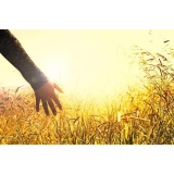 Agrarna skupnost Cerkovska vas