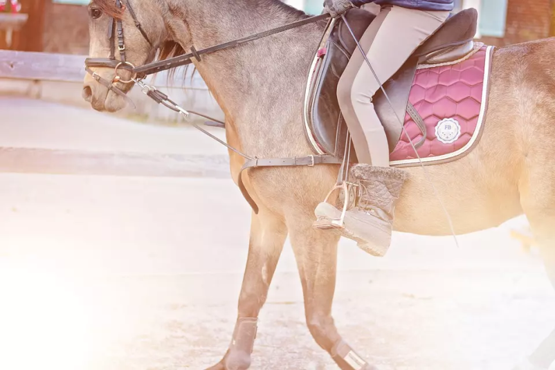 Dobra šola jahanja Ljubljana