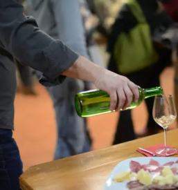 Dobro ekolosko vino istra