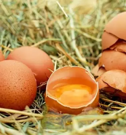 Domaca jajca sentvid pri sticni