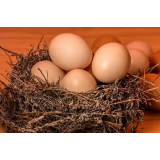 BRANKA KOTAR - NOSILKA DOPOLNILNE DEJAVNOSTI NA KMETIJI