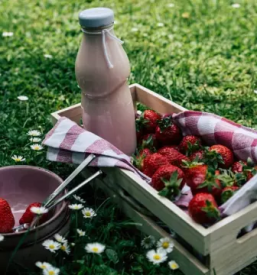 Domaci jogurti in skuta domzale okolica