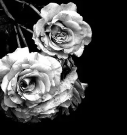 Igranje trobente na pogrebu ljubljana okolica slovenija