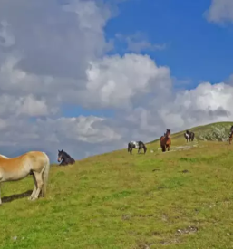 Izposoja opreme za treking gorenjska