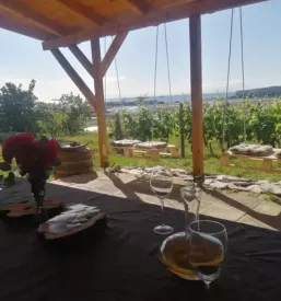 Kmecki turizem z nocitvijo in lepim razgledom koper in obala