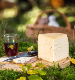 Kvalitetni domaci mlecni izdelki podravska