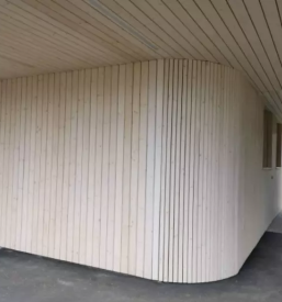 Lesene fasade in nadstreski podravska