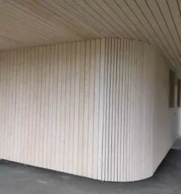 Lesene fasade in nadstreski podravska