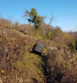 Mulčenje zaraščenih površin Savinjska, Podravska