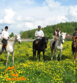 Pocitniski tabor z jahanjem za otroke ljubljana