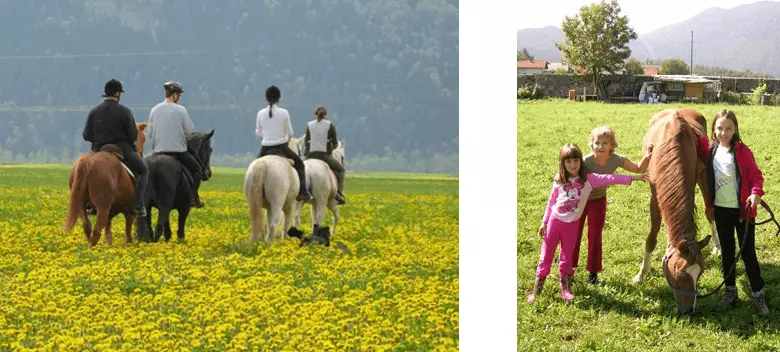 Počitniški tabor z jahanjem za otroke Ljubljana